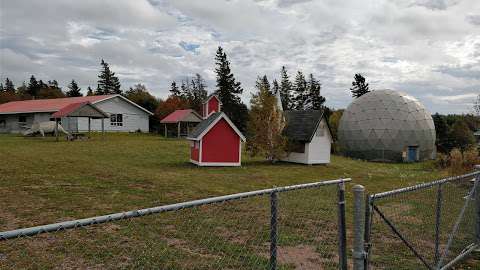 Jurassic Bart's Dinosaur Museum and Petting Farm